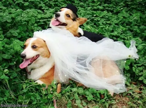 Married Now