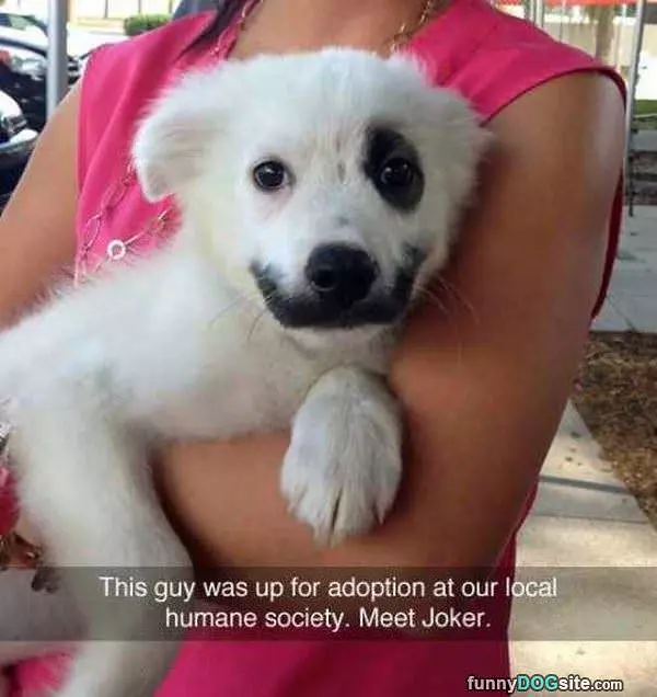 Joker
