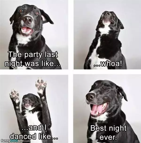 That Party Last Night