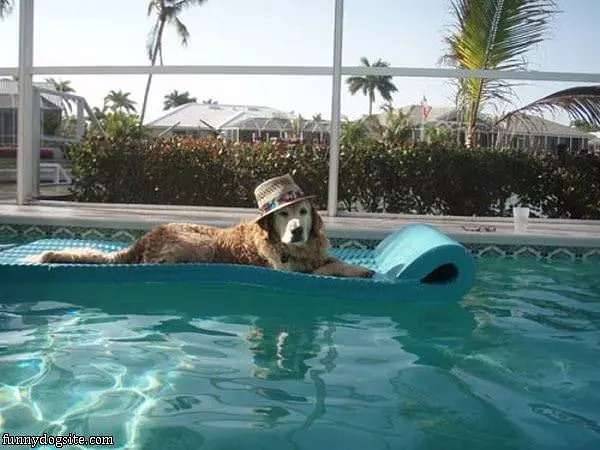Very Relaxed Day