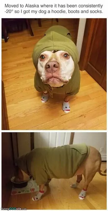 Dressed Up For A Fun Day