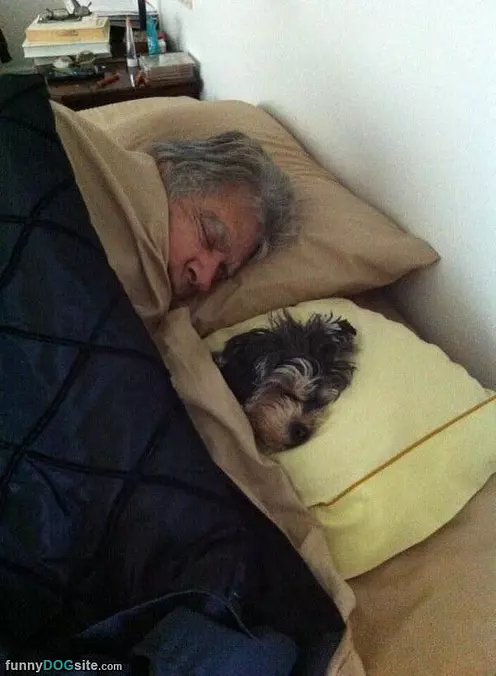 Napping Together