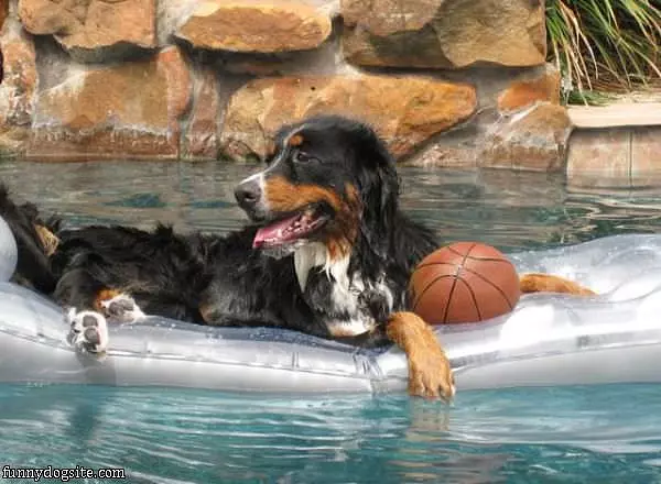Hanging In The Pool