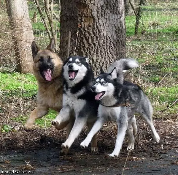 3 Is A Crowd