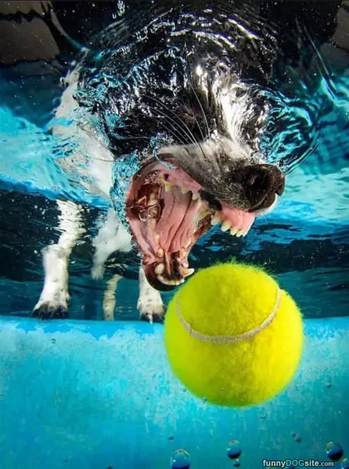 Deep Sea Fetching