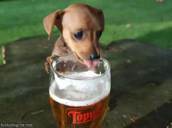 Just A Little Sip