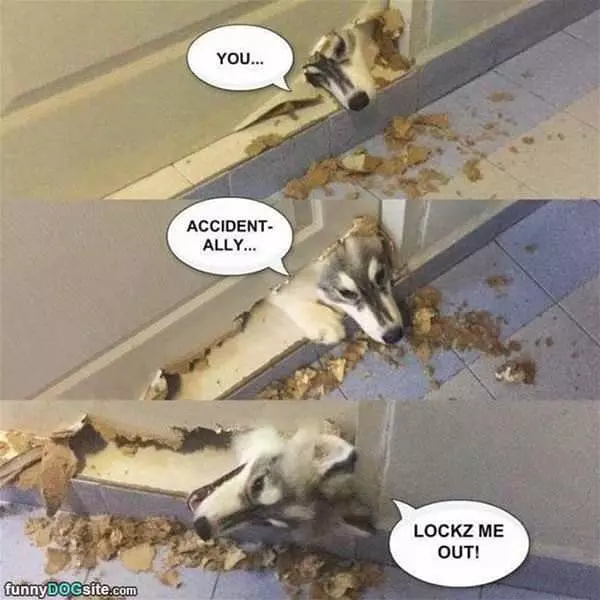 You Accidentally Locked Me Out
