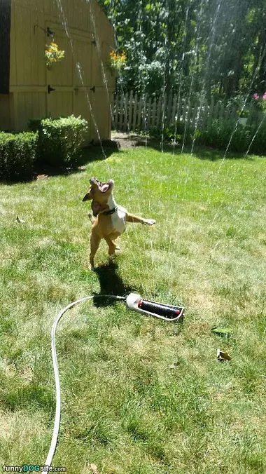 Sprinkler Attack
