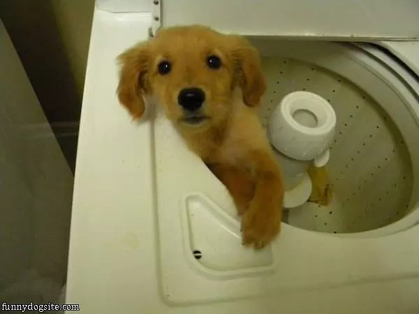 I Dont Want A Wash