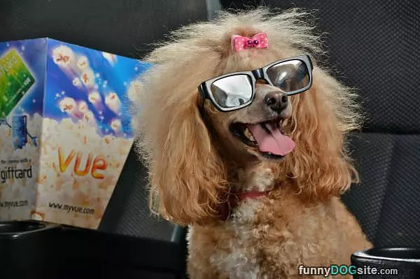 A Fabulous Dog