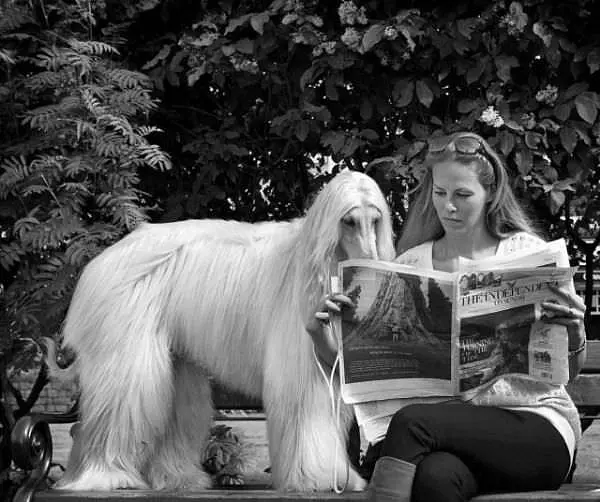 What Are You Reading