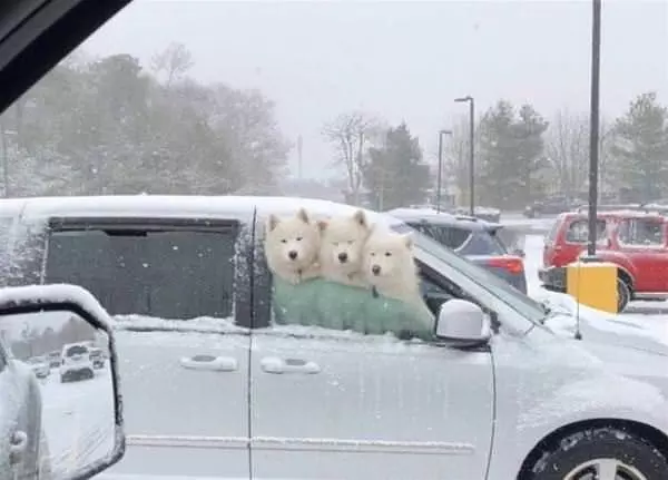 Nice Winter Day