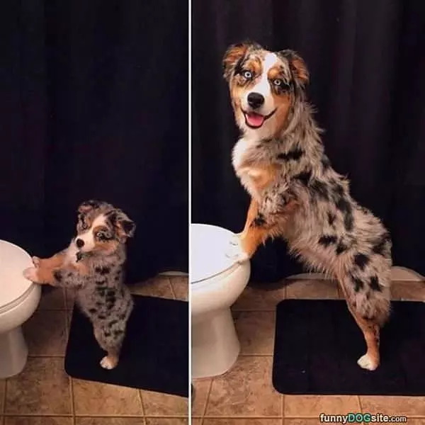 Growing Up