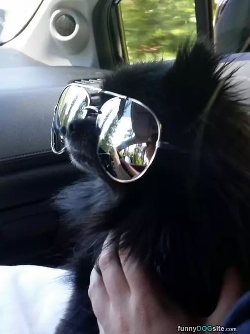 Big Glasses