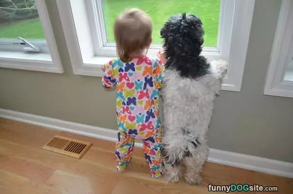 Waiting For Daddy