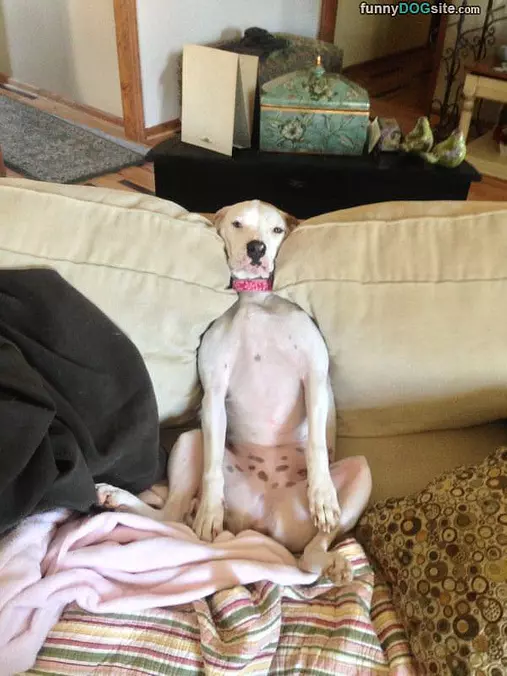 This Is Comfy