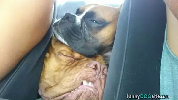 Found A Pillow