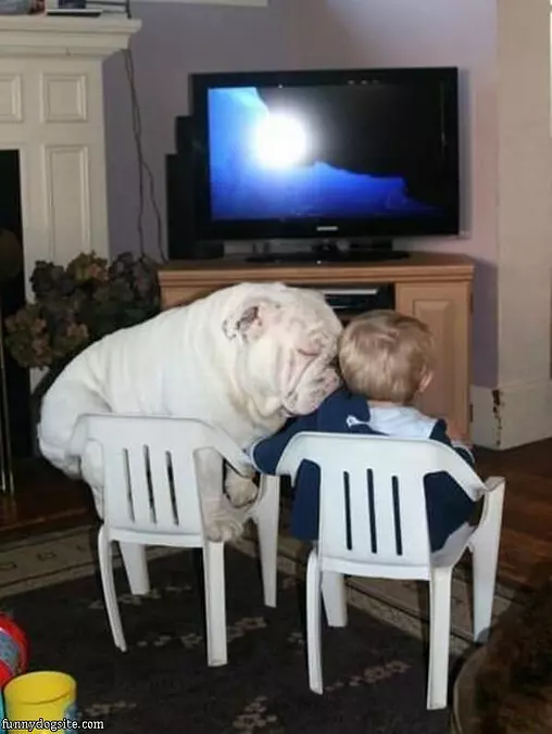Buddies