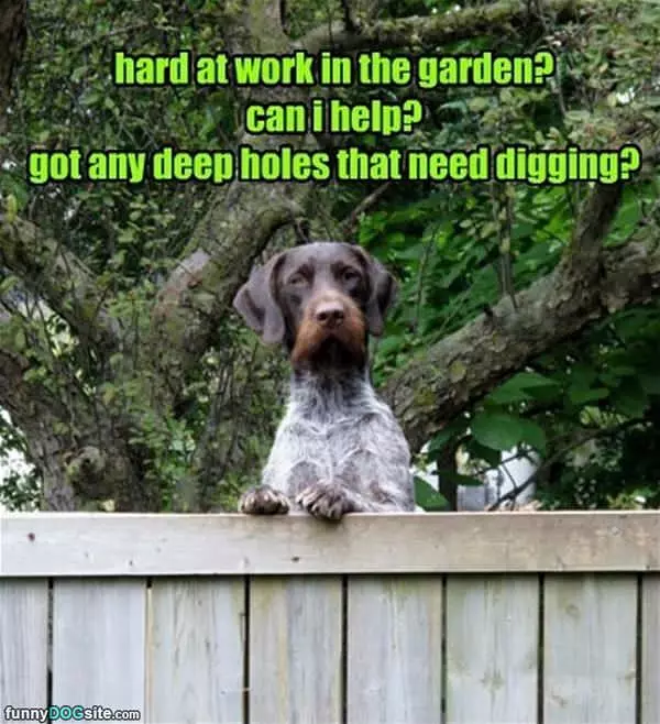 Can I Help With Anything