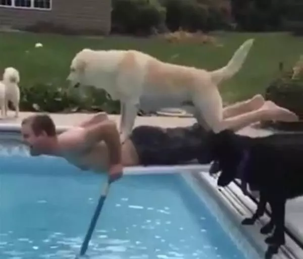 Jump Jump