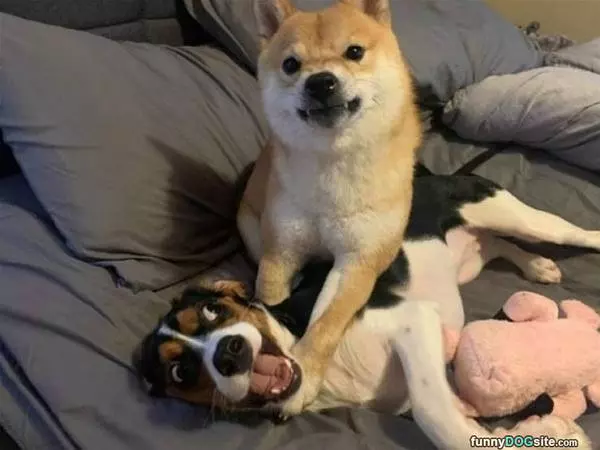 Play Time