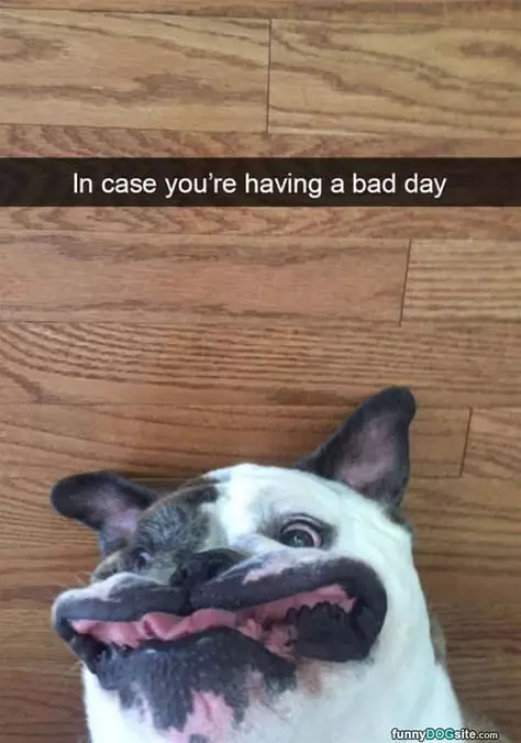 In Case Your Having A Bad Day