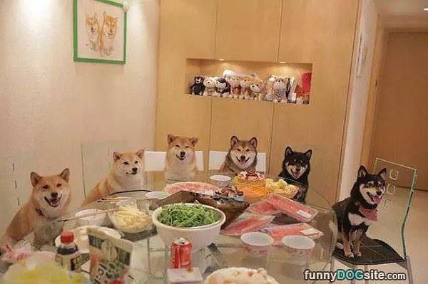 Cmon Lets Eat