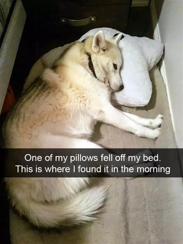 One Of My Pillows Fell