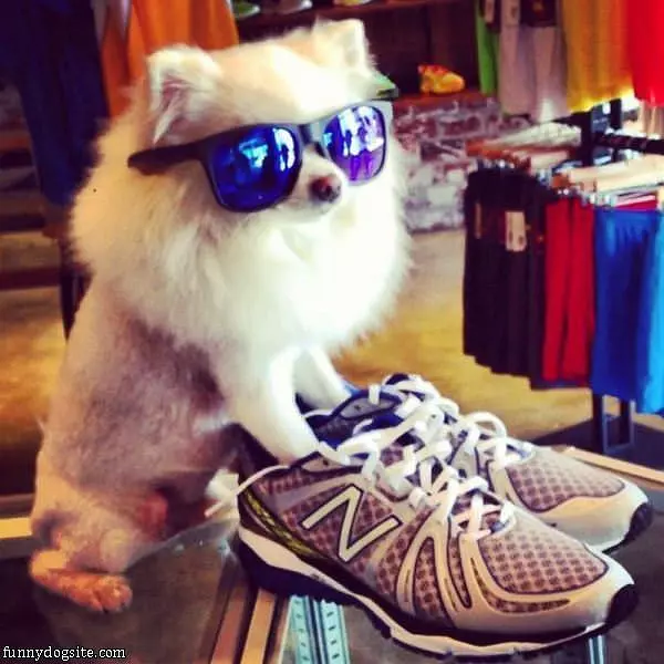 I Has The Cool