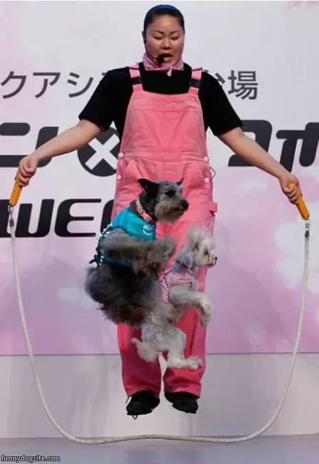Jump Rope Dogs
