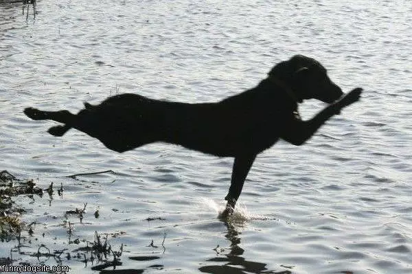 Running On Water