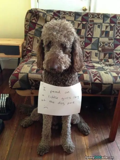 Peed On A Girls Leg