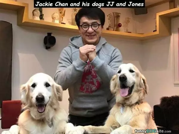 Jackie Chans Dogs