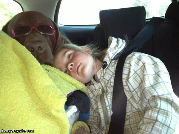 Long Rides Made Easy