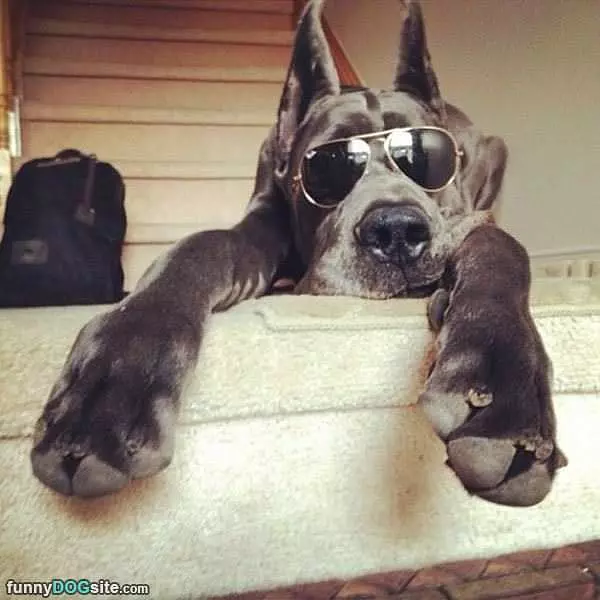 Very Relaxed