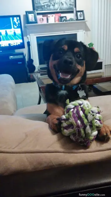 My Play Face
