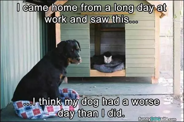 Came Home From A Long Day