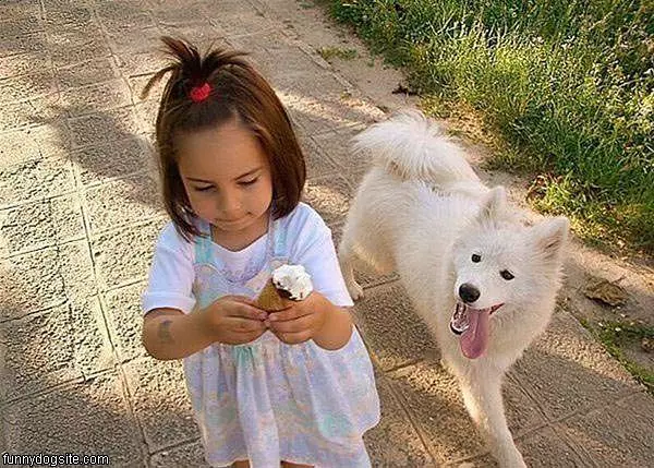 Dog Wants A Little