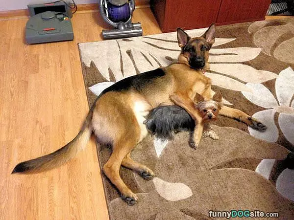 Best Buds