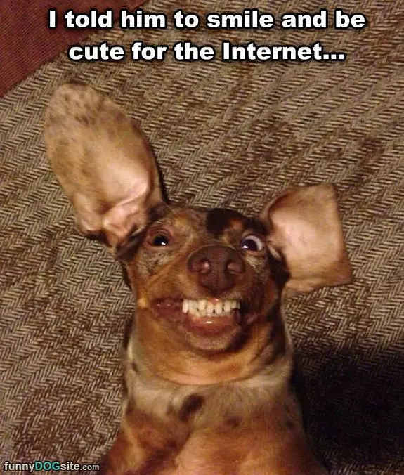 Smile And Be Cute