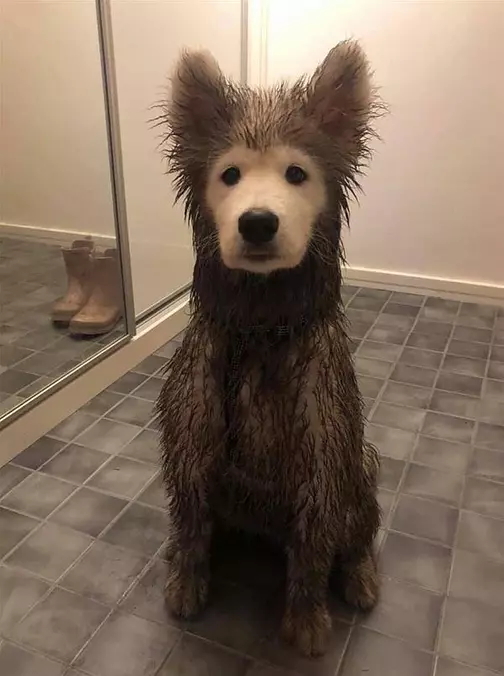 Ready To Play