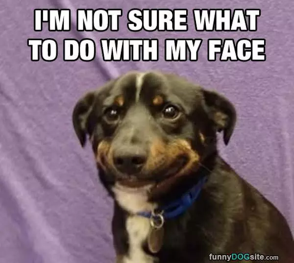 Not Sure What To Do