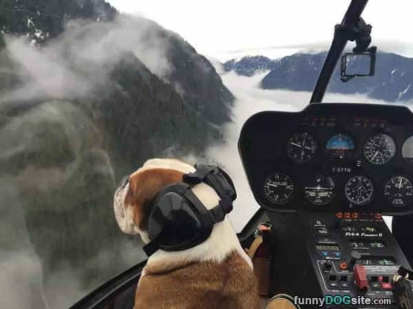 Going For A Quick Ride