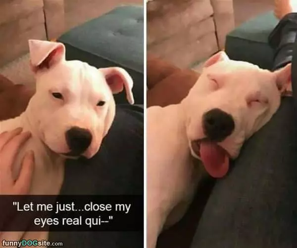 Close My Eyes Real Quick