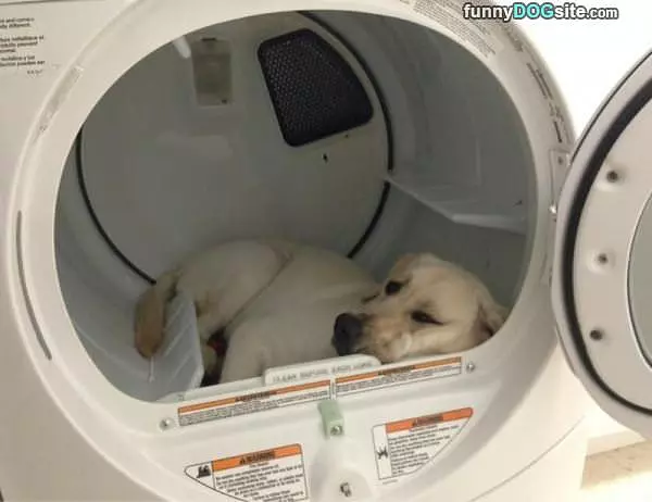 Nice Little Bed I Found