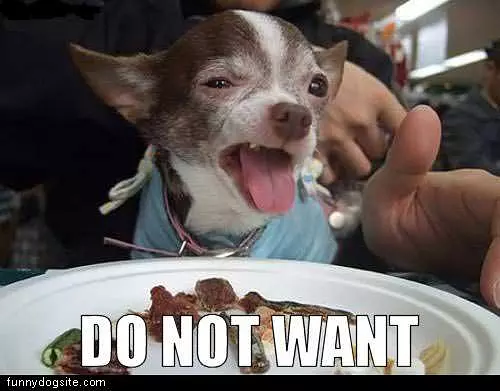 Do Not Want Dog
