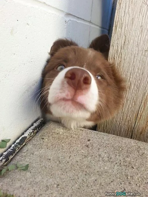 Chillin Here