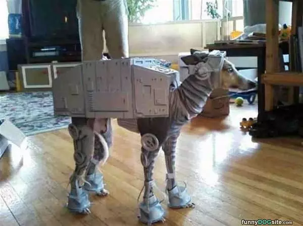 Star Wars