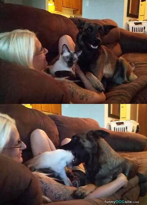Nommm Nom Nom