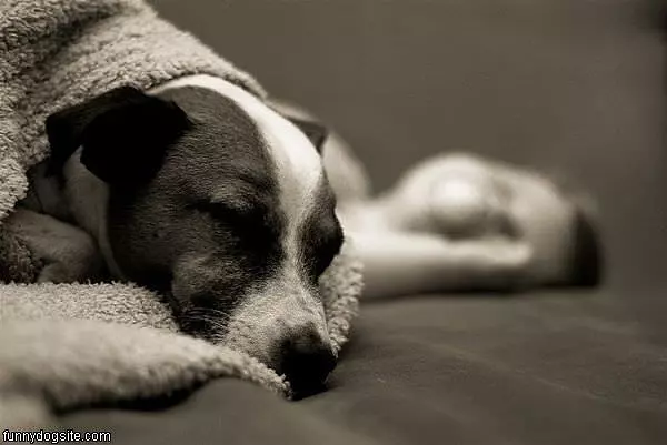 Sleepy